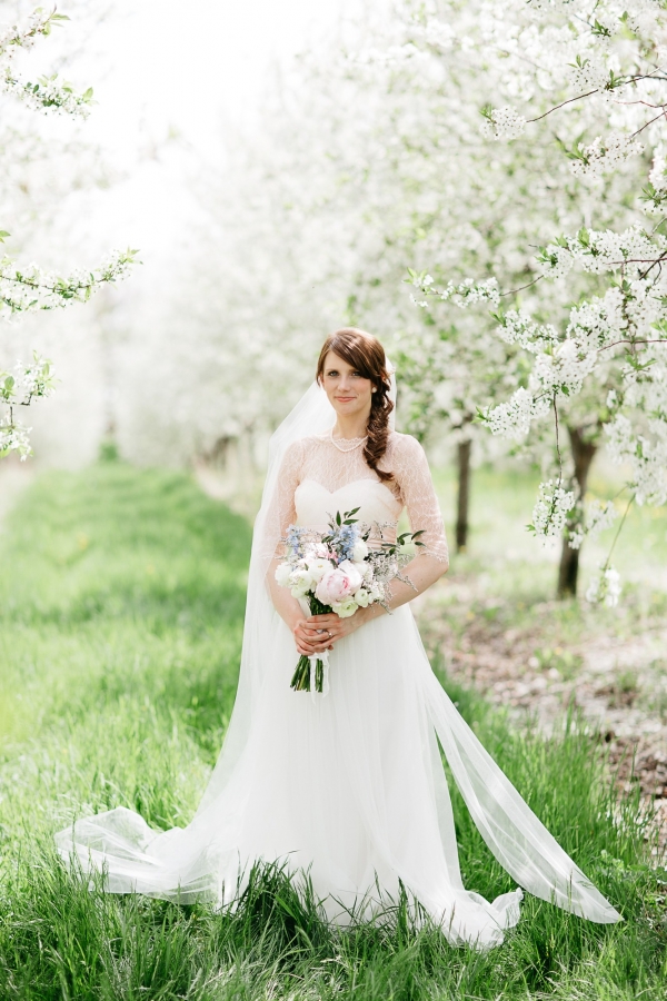 Town Hall And Cherry Blossoms Wedding