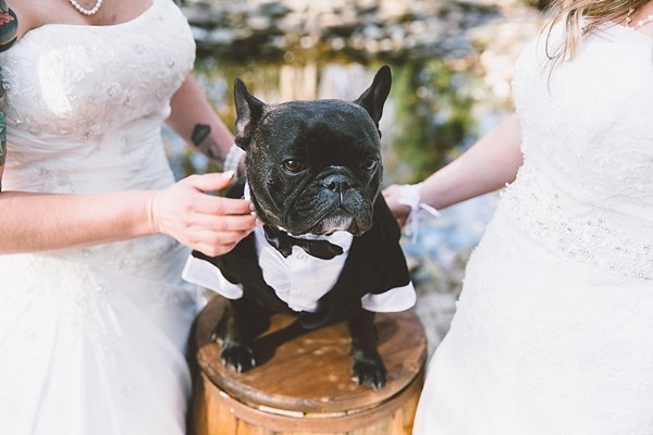 Sweet Springtime Wedding with Cherry Blossoms