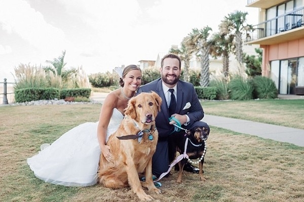 Doggone Sweet Virginia Beach Wedding