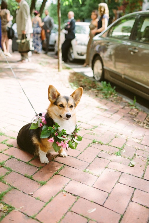 Urban Boho Wedding