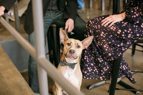 Stylish Downtown Norfolk Engagement in Virginia