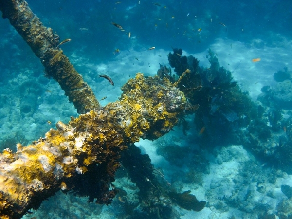 Snorkeling in the Florida Keys