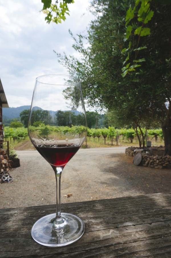 A Gourmet Honeymoon in the Napa Valley