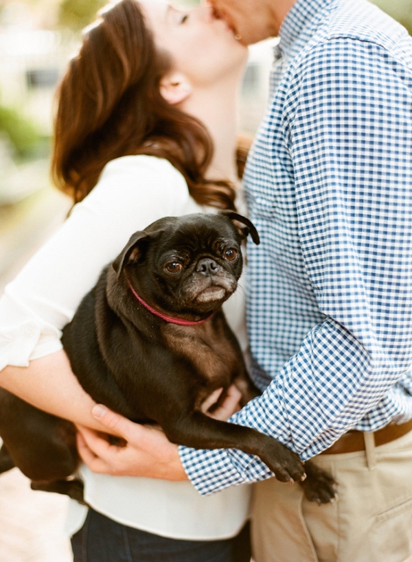 Charleston Engagement Featuring A Pug