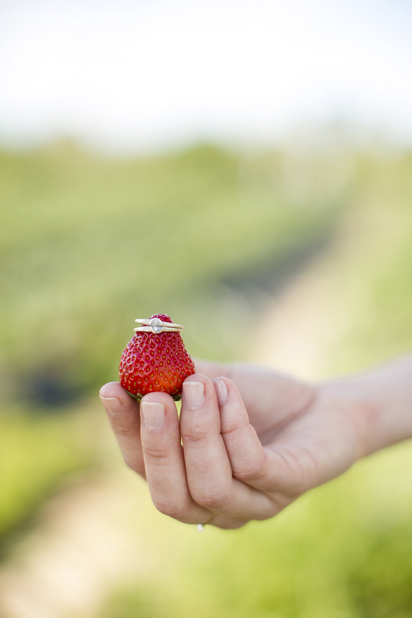 A Strawberry Patch Engagement Session