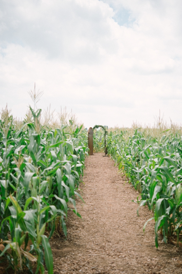 Field of Dreams Farm Wedding