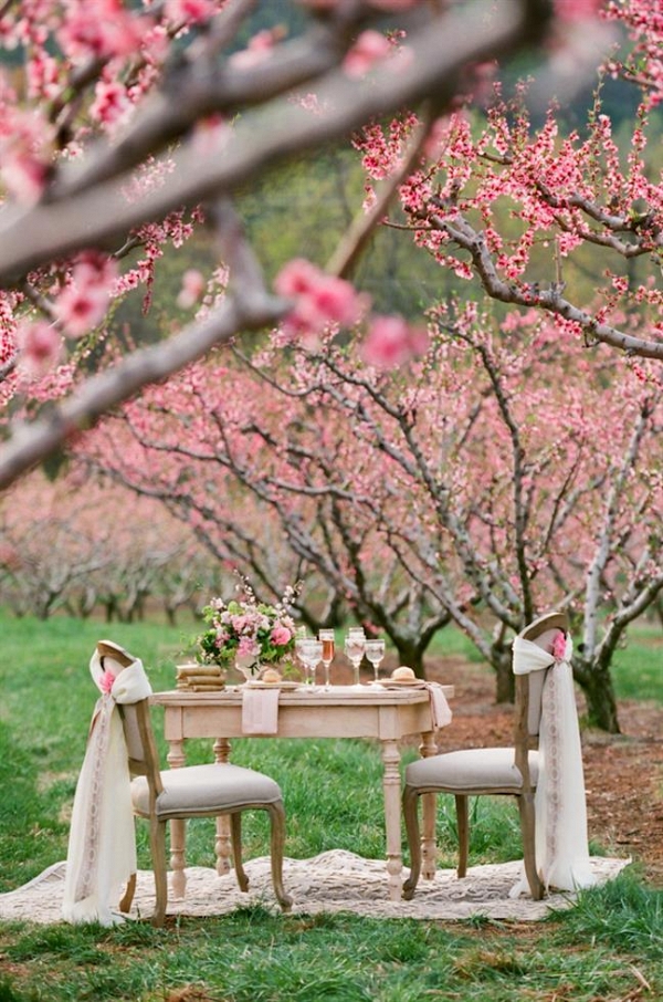 Blossom-Filled Spring Wedding Ideas in an Orchard