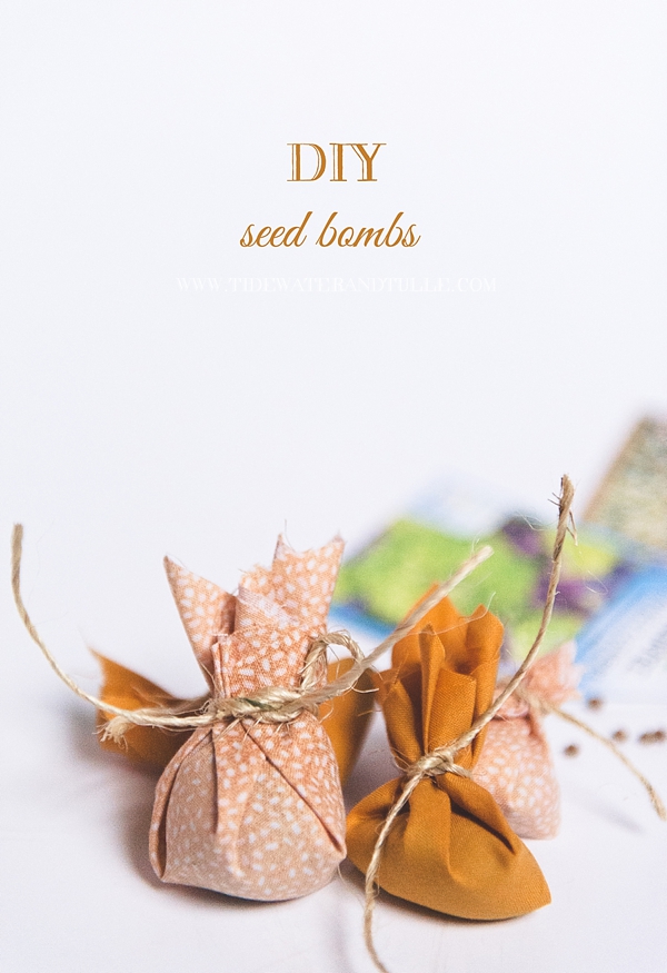 DIY Seed Bomb Favors