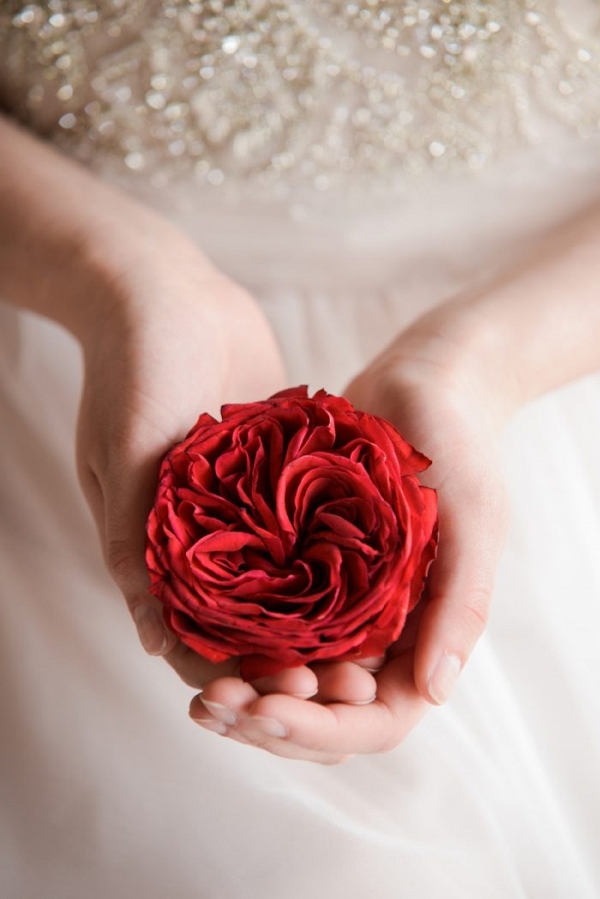 Red and Gold Botanical Wedding Inspiration