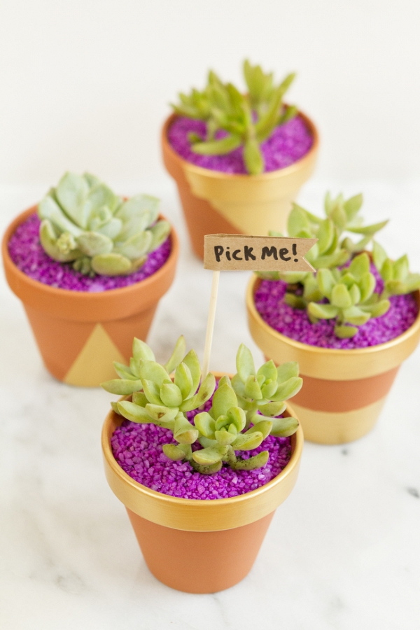 DIY Mini Succulent Favors