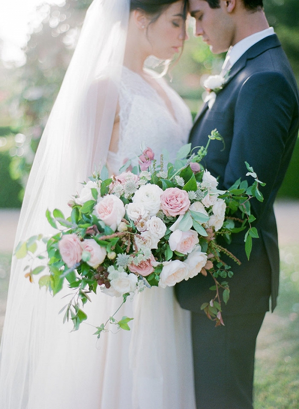 California Lavender Garden Shoot