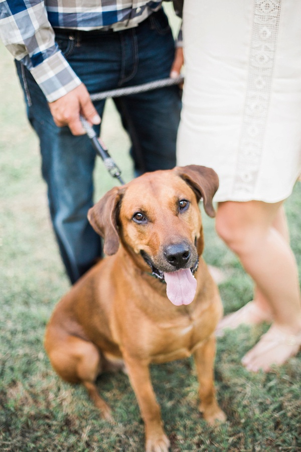 Childhood Sweethearts Engagement with Rescue Pup