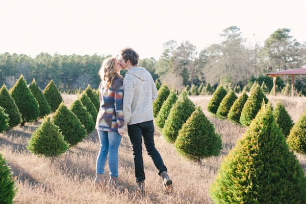 Christmas Tree Farm Engagement