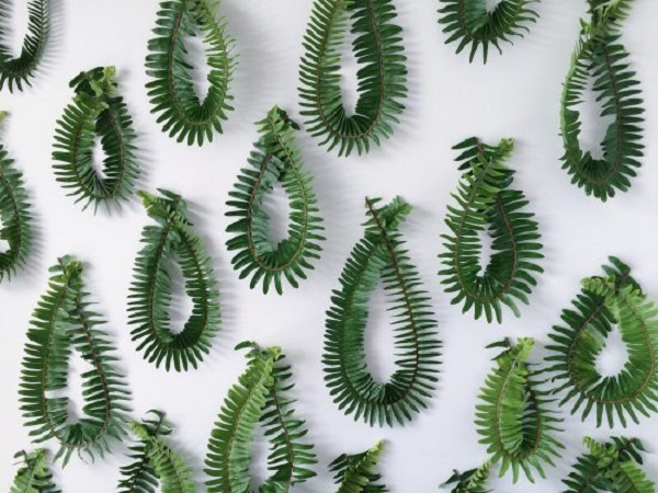 Fern Wreath Backdrop Tutorial