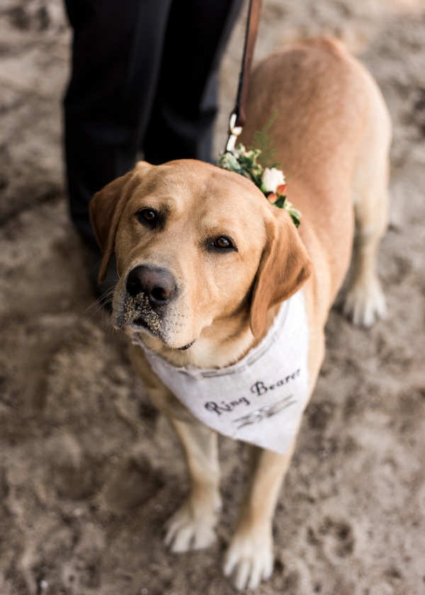 Sunny and Sweet Lakeside Wedding in Northern Idaho