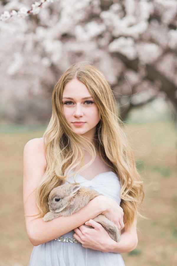 Sweet Blossoms and Bunnies