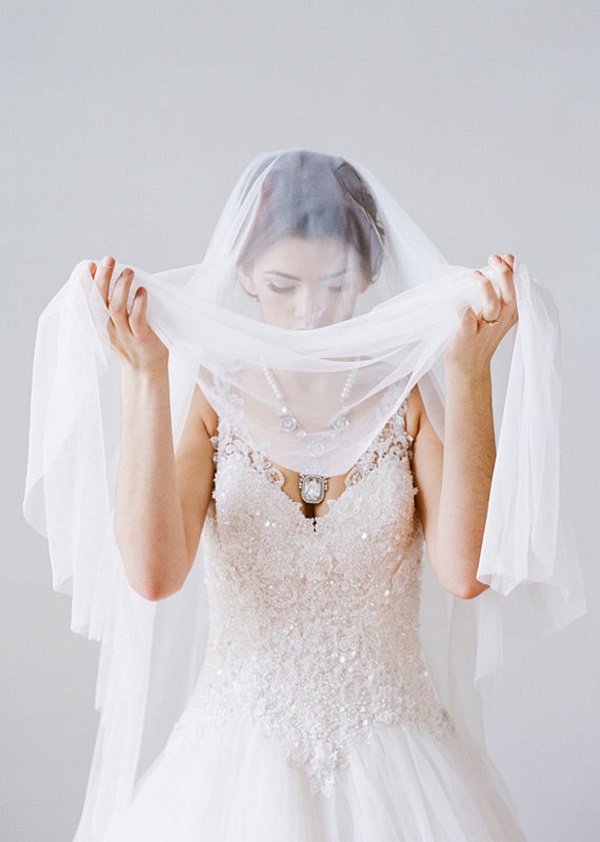 21 Cathedral Length Bridal Veils