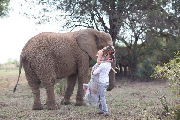 Romantic Safari Engagement Shoot