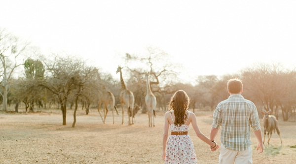 South African Game Farm Engagement