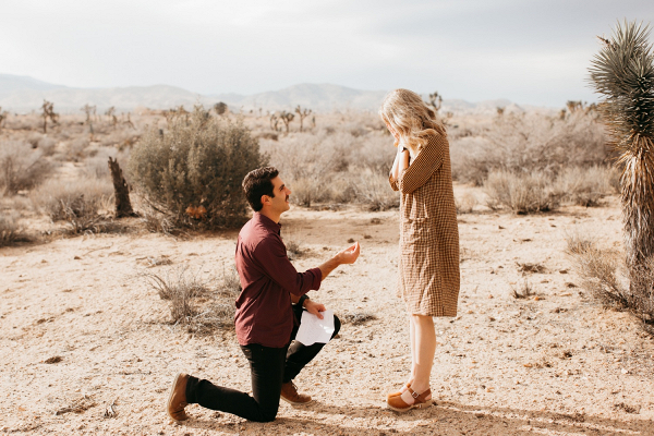 Joshua Tree Proposal