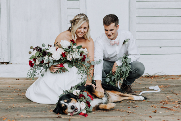 Adopt a Rescue Dog Wedding