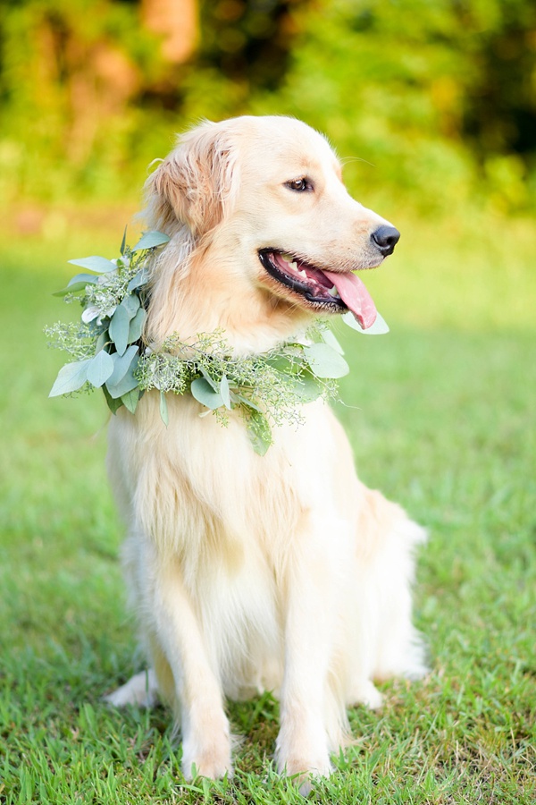 Sweet Whimsical Farm Wedding Inspiration