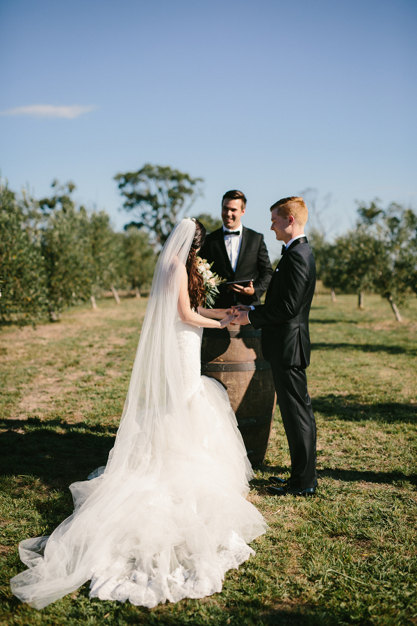 Classic Olive Grove Country Wedding