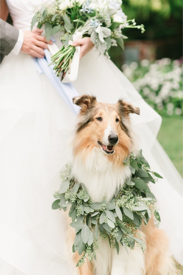 8 Ways to Involve Your Pet in Your Wedding