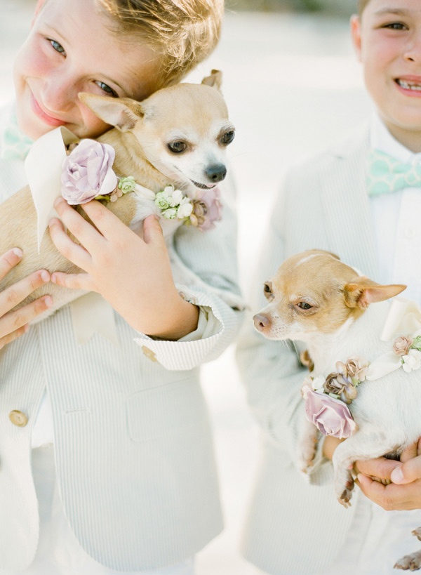 Elegant Florida Keys Wedding