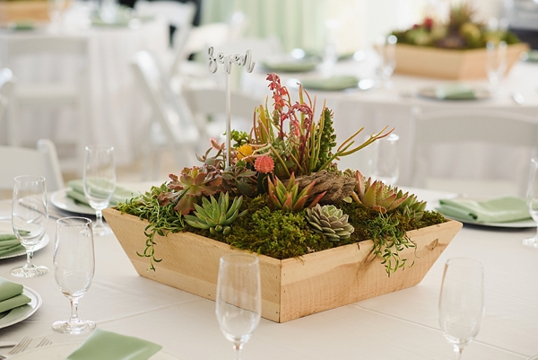 Beach Wedding to Make All Succulent Lovers Swoon