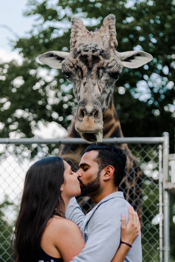 Surprise Proposal at the Nashville Zoo