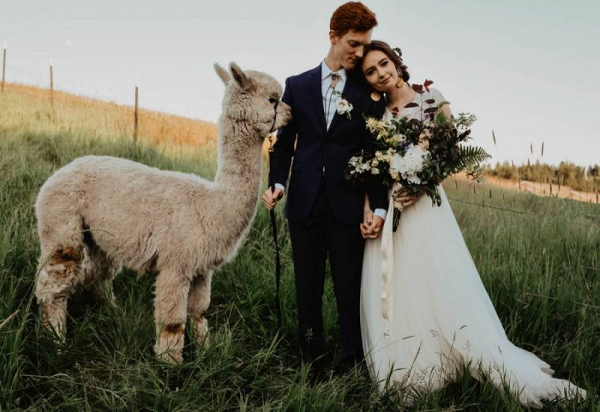 Intimate Alpaca Farm Wedding