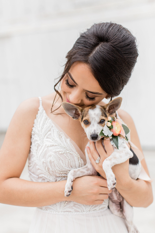 Romantic Wedding Inspiration with Adoptable Puppy