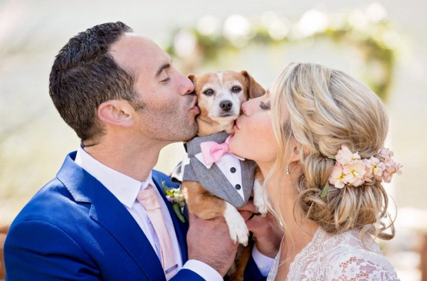 Tips for Including Your Dog in Your Wedding