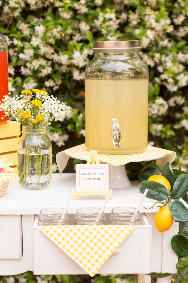 Ceremony Lemonade Bar