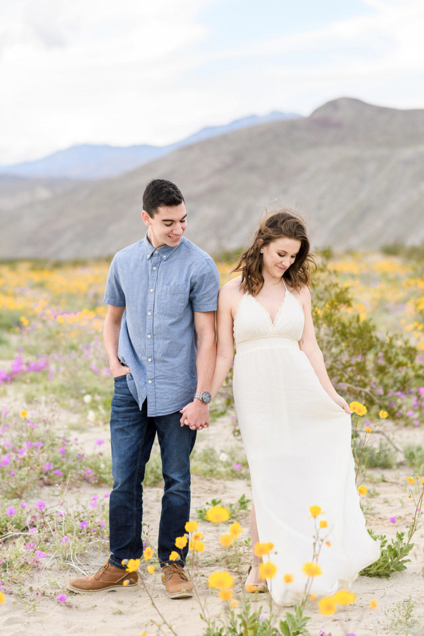 California State Park Engagement Inspiration