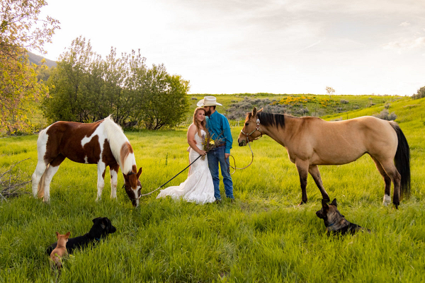 Romantic Elopement In The Wild Wasatch Mountains