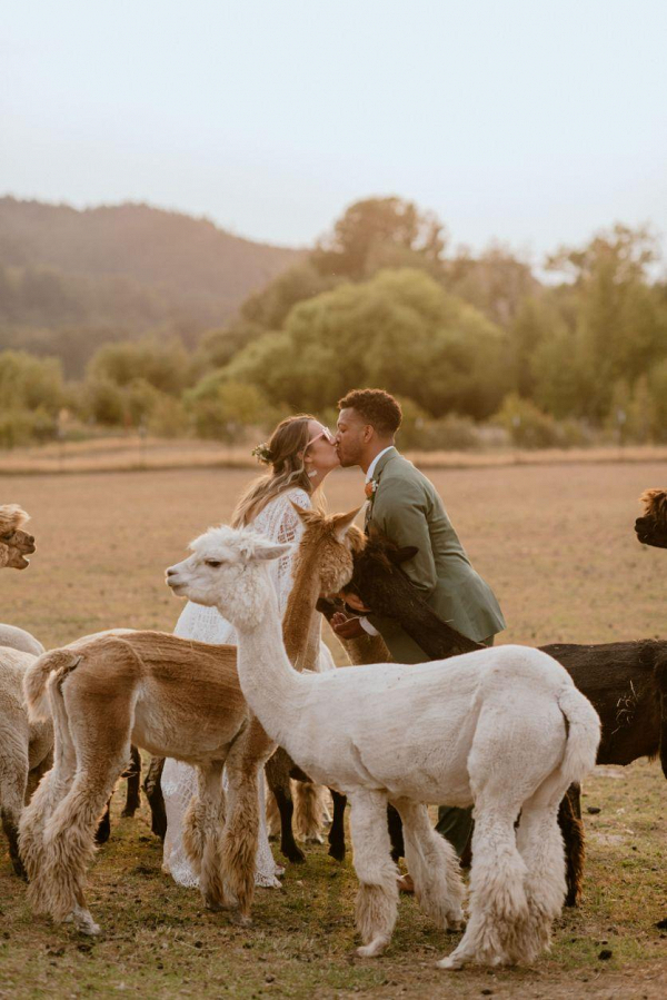 Intimate Boho Farm Wedding