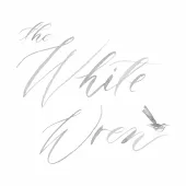 The White Wren